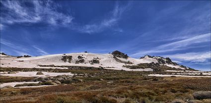 Rams Head Range - Kosciuszko NP - NSW T (PBH4 00 10670)